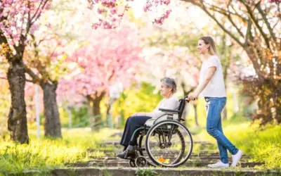 Spring Activities For Seniors