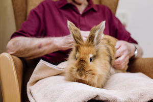 old woman sitting with her pet rabbit