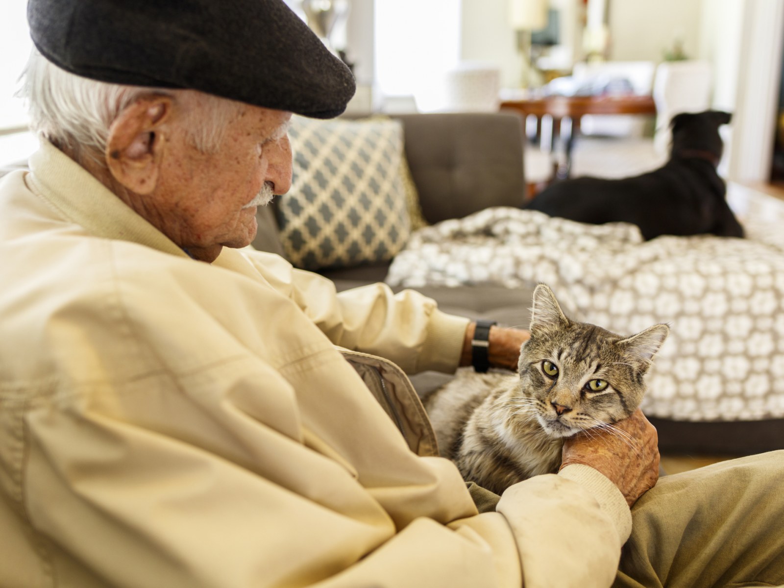 old man sitting with a cat in his lap