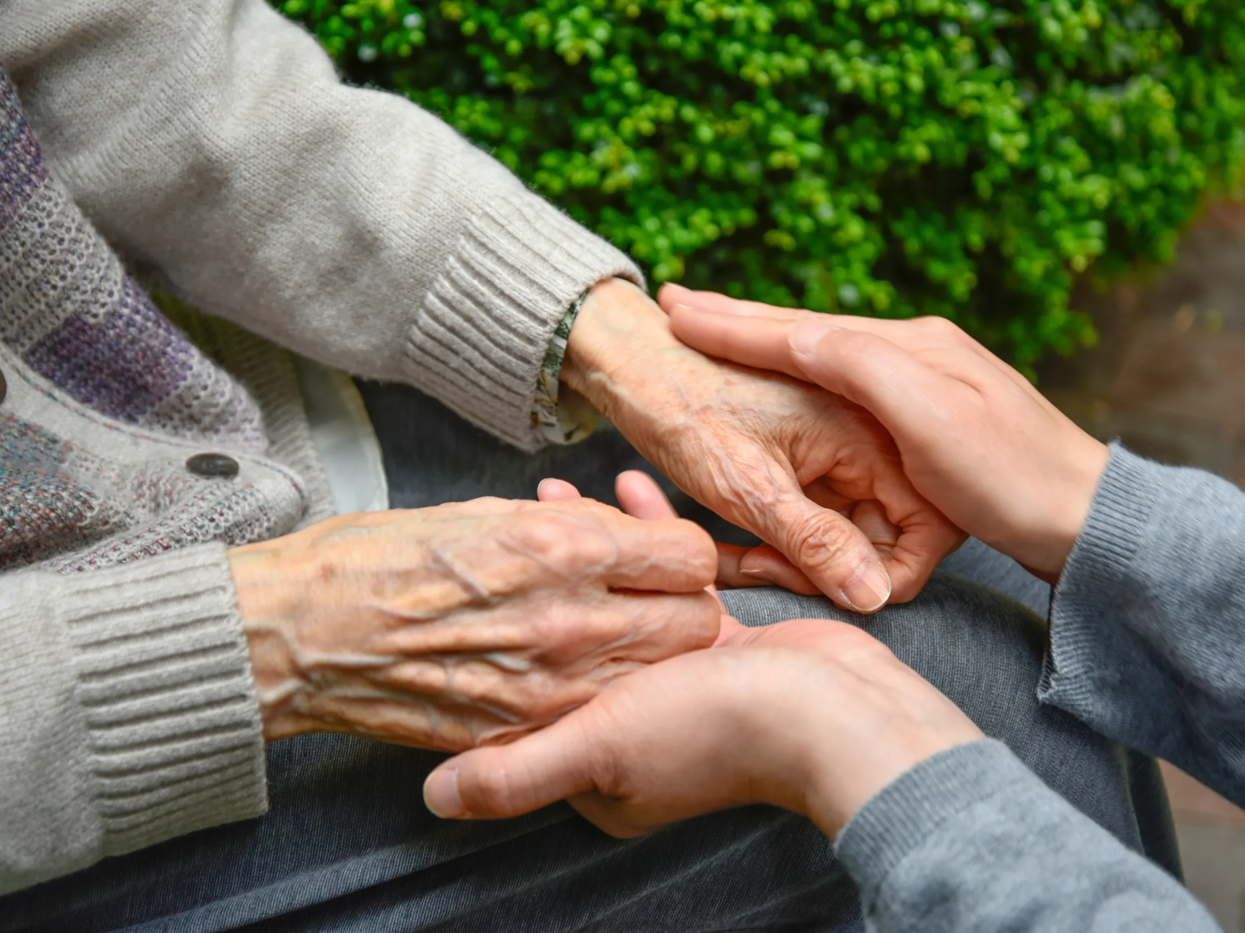 woman holding elderly hands of person in a wheel chair